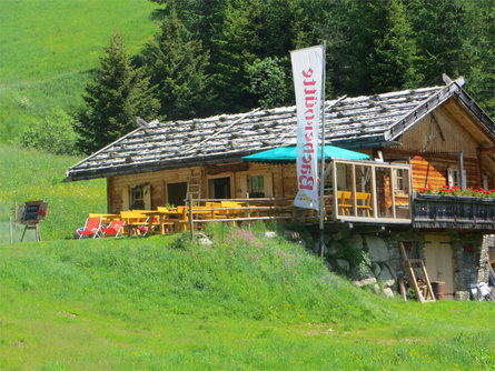 Bacher Hütte Mühlbach 2 suedtirol.info