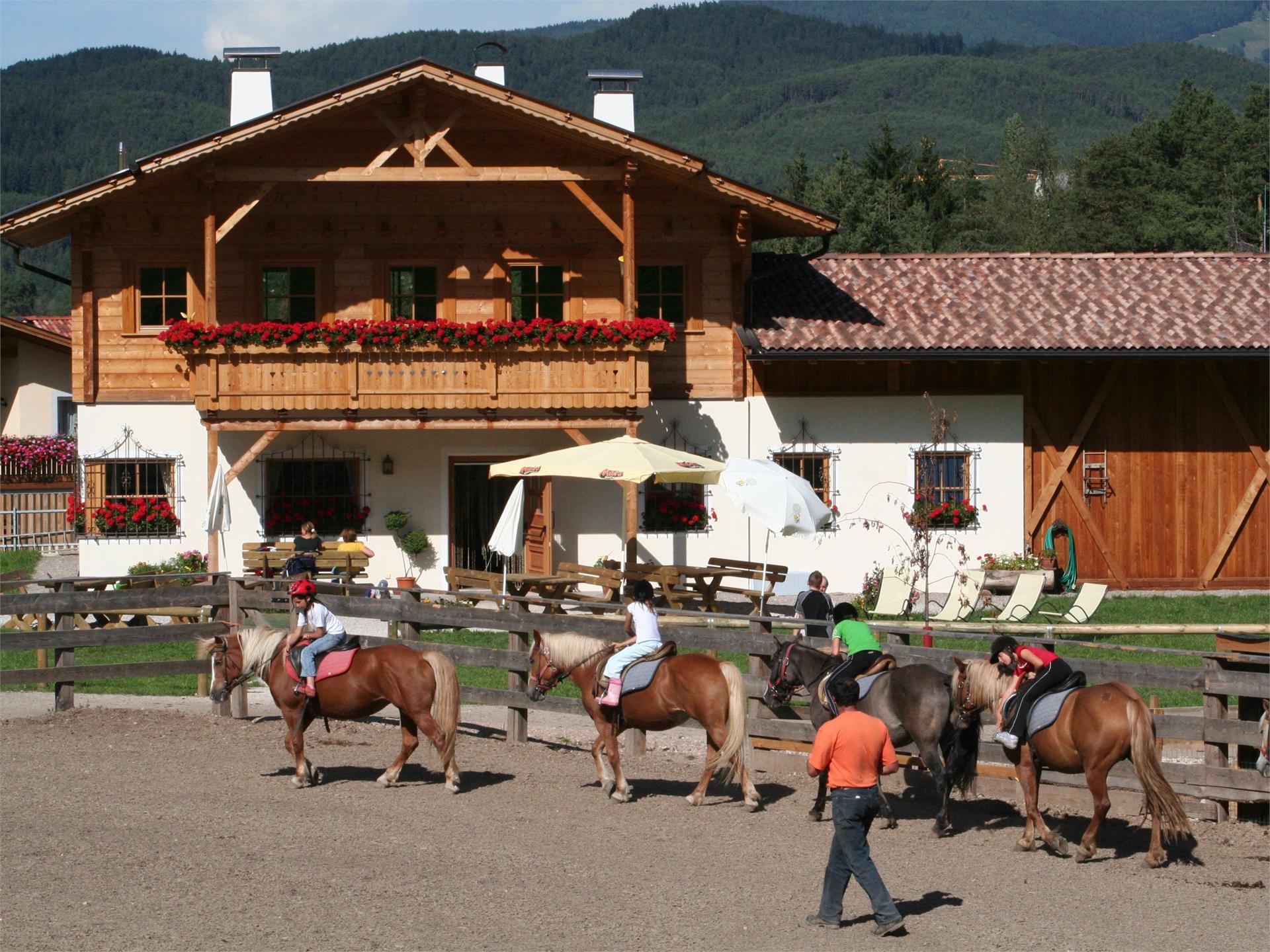 Café Unterlanzin Kastelruth/Castelrotto 1 suedtirol.info