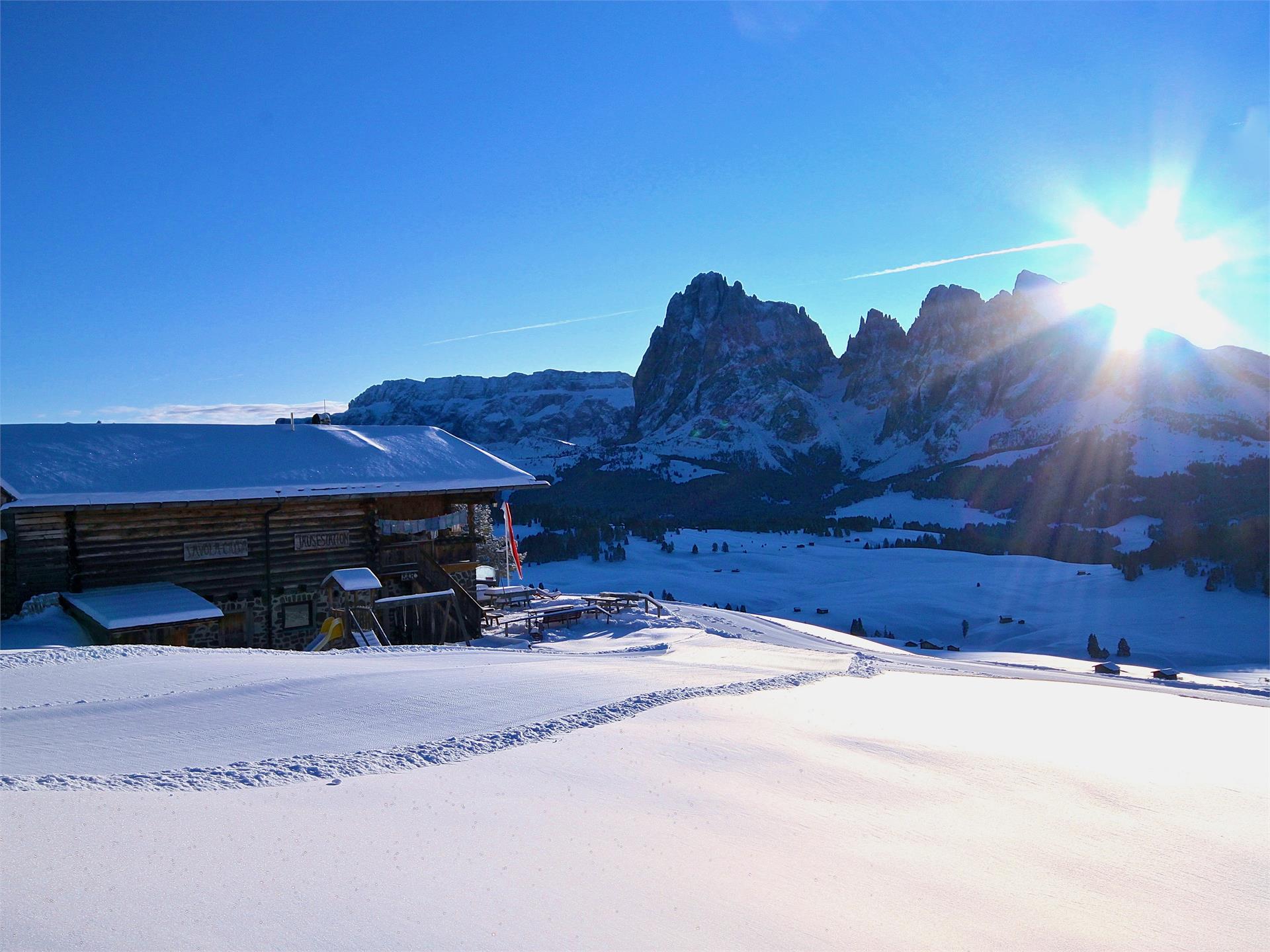 Contrin Schwaige mountain hut Kastelruth/Castelrotto 1 suedtirol.info