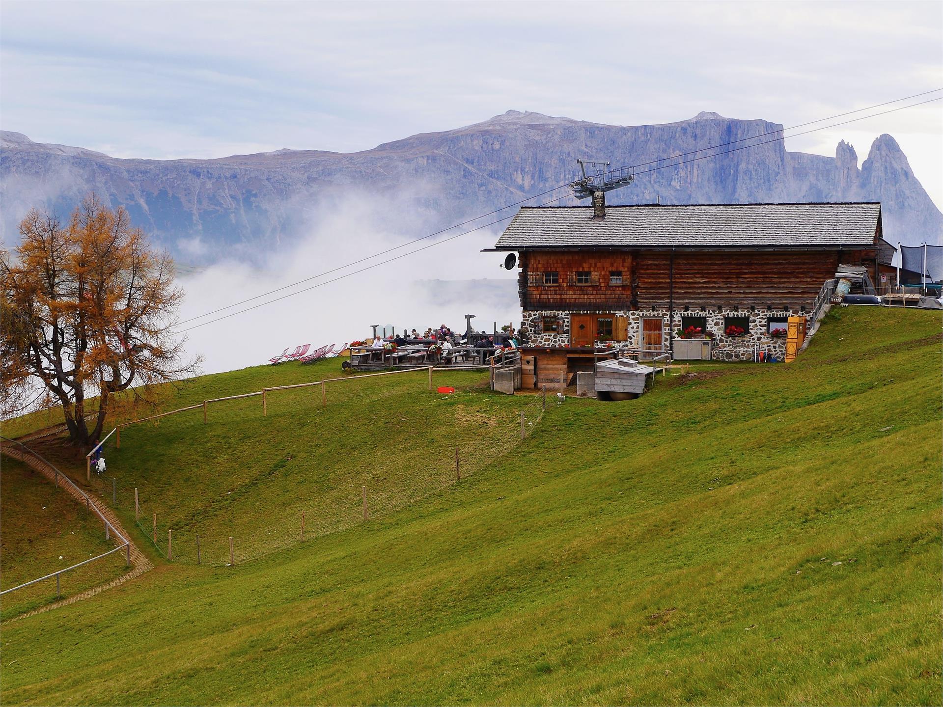 Contrin Schwaige mountain hut Kastelruth/Castelrotto 2 suedtirol.info