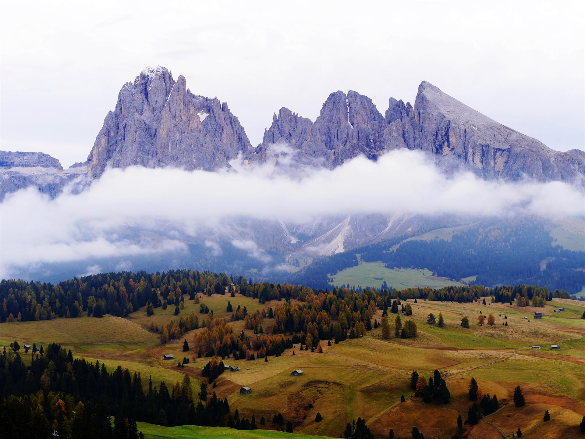 Contrin Schwaige mountain hut Kastelruth/Castelrotto 3 suedtirol.info