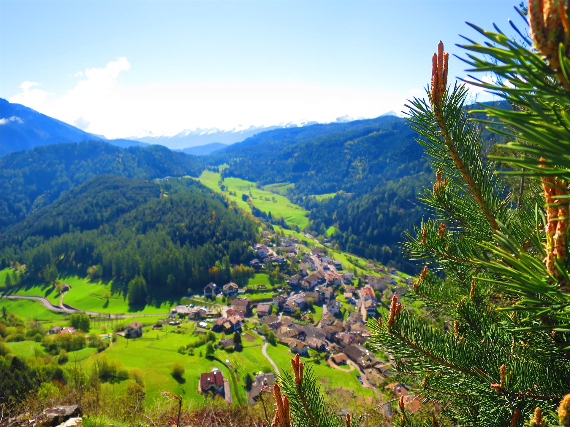 Cisloner Alm Truden 5 suedtirol.info