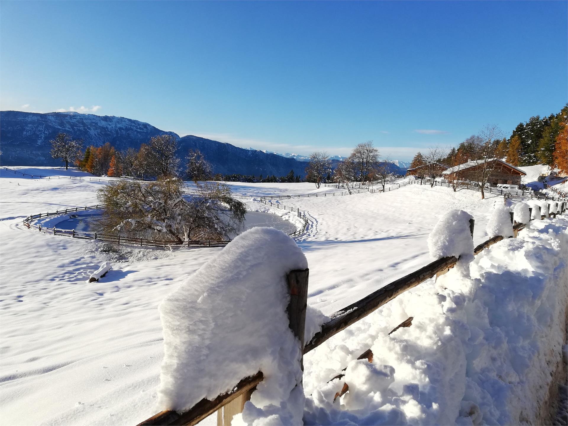 Cisloner Alm Truden 2 suedtirol.info