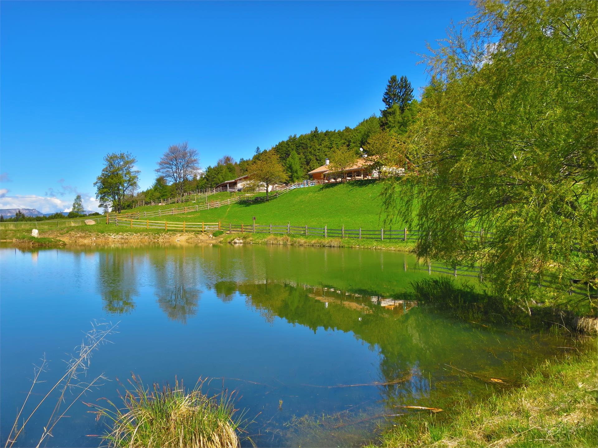 Cisloner Alm Truden 1 suedtirol.info