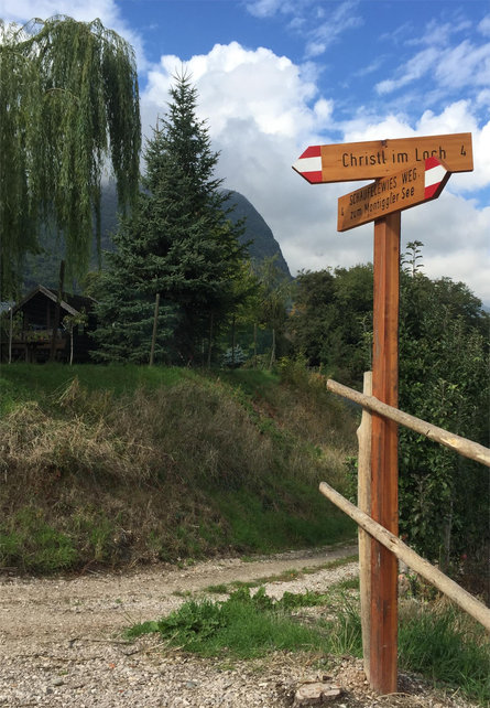 Christl im Loch Kaltern an der Weinstraße/Caldaro sulla Strada del Vino 15 suedtirol.info