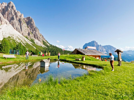 Ciaulonch Schwaige St.Christina in Gröden 2 suedtirol.info