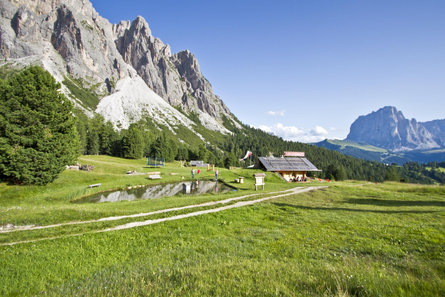 Ciaulonch Schwaige St.Christina in Gröden 6 suedtirol.info