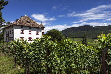 Castel Ringberg Caldaro sulla Strada del Vino 8 suedtirol.info