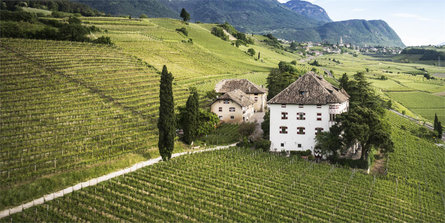 Castel Ringberg Caldaro sulla Strada del Vino 1 suedtirol.info