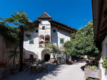 Drescherkeller Caldaro sulla Strada del Vino 1 suedtirol.info