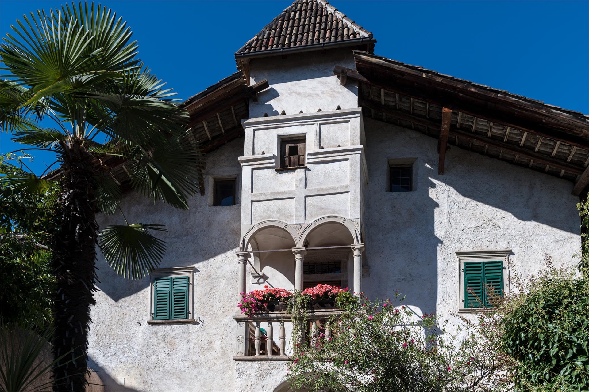 Drescherkeller Caldaro sulla Strada del Vino 2 suedtirol.info