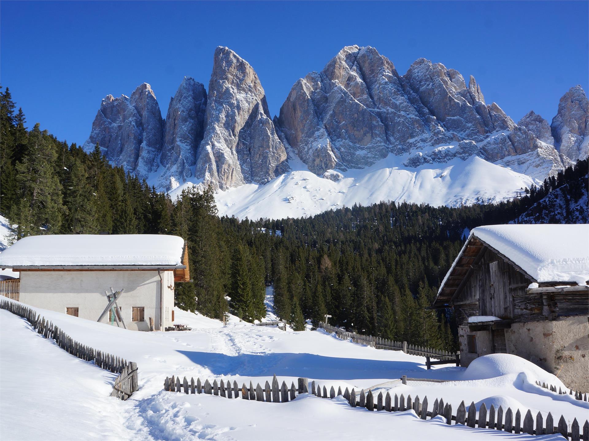 Dusler Alm Villnöss 2 suedtirol.info