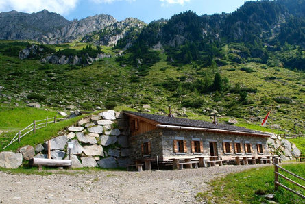 Daimer Alm Ahrntal 1 suedtirol.info