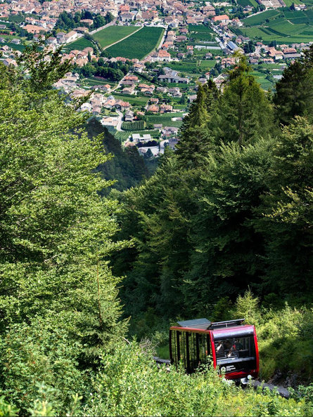 Enzianhütte Kaltern an der Weinstraße/Caldaro sulla Strada del Vino 1 suedtirol.info