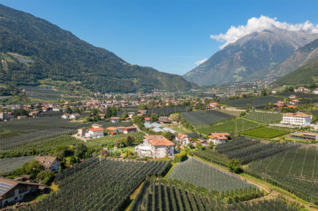 FAYN dining Algund/Lagundo 3 suedtirol.info