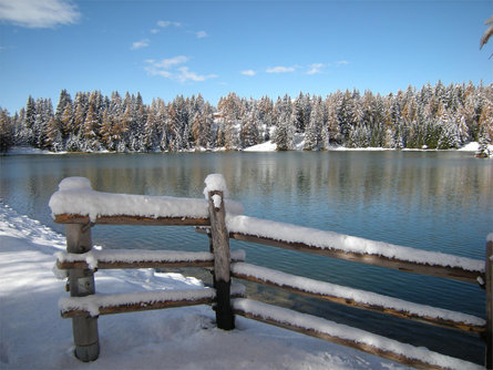 Malga San Felice Senale-S.Felice 1 suedtirol.info