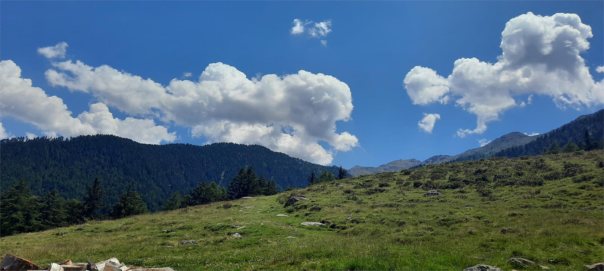 Malga Freiberger Alm Kastelbell-Tschars/Castelbello-Ciardes 6 suedtirol.info