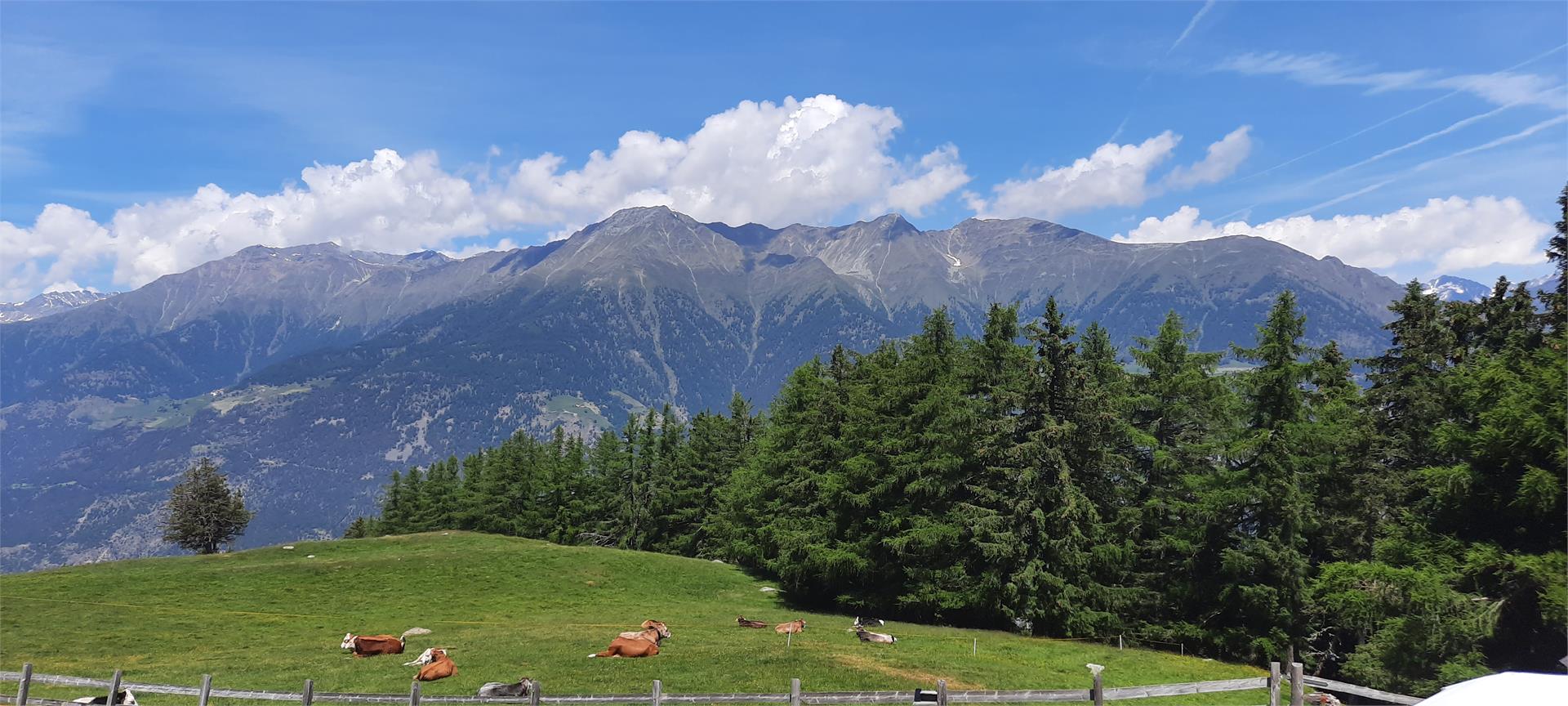 Malga Freiberger Alm Kastelbell-Tschars/Castelbello-Ciardes 2 suedtirol.info