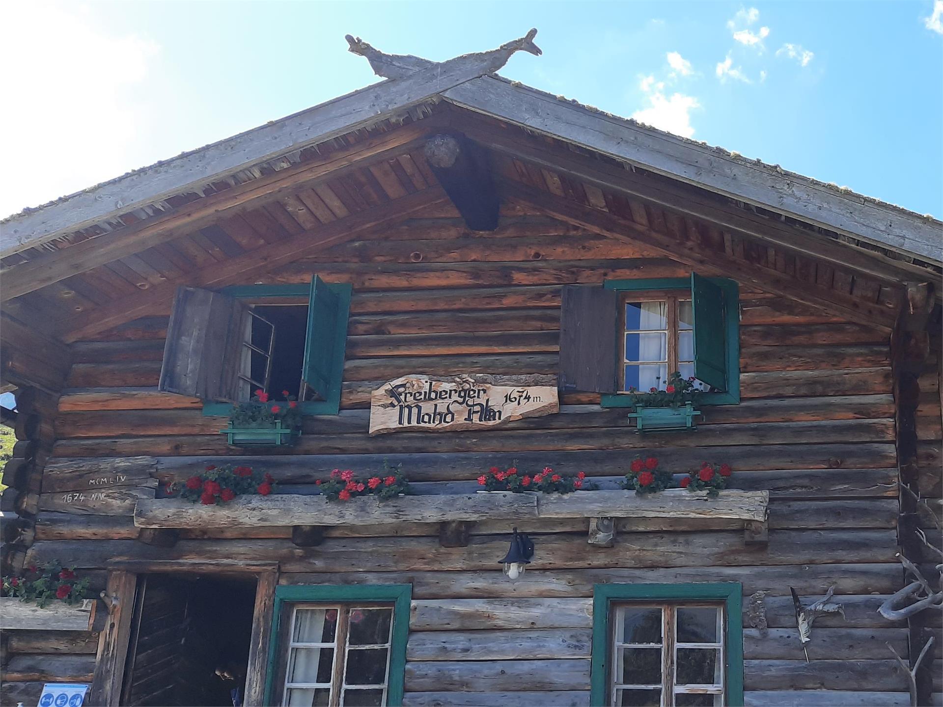 Malga Freiberger Alm Kastelbell-Tschars/Castelbello-Ciardes 1 suedtirol.info