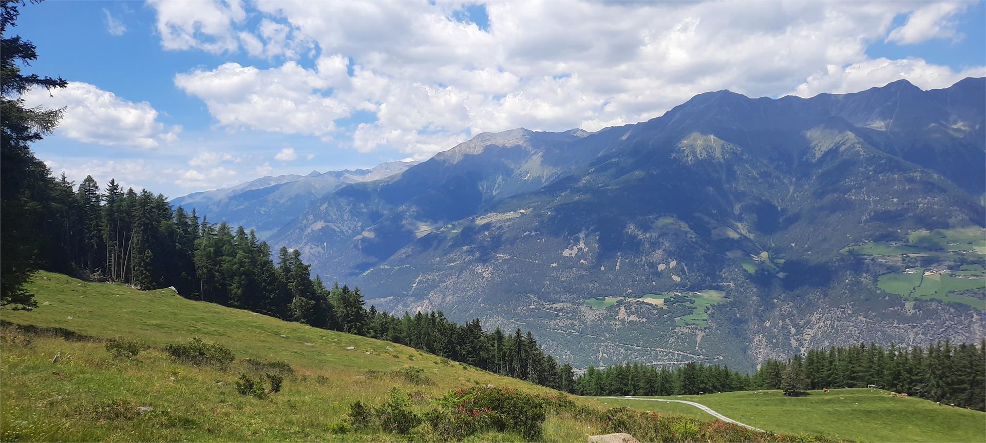 Malga Freiberger Alm Kastelbell-Tschars/Castelbello-Ciardes 4 suedtirol.info