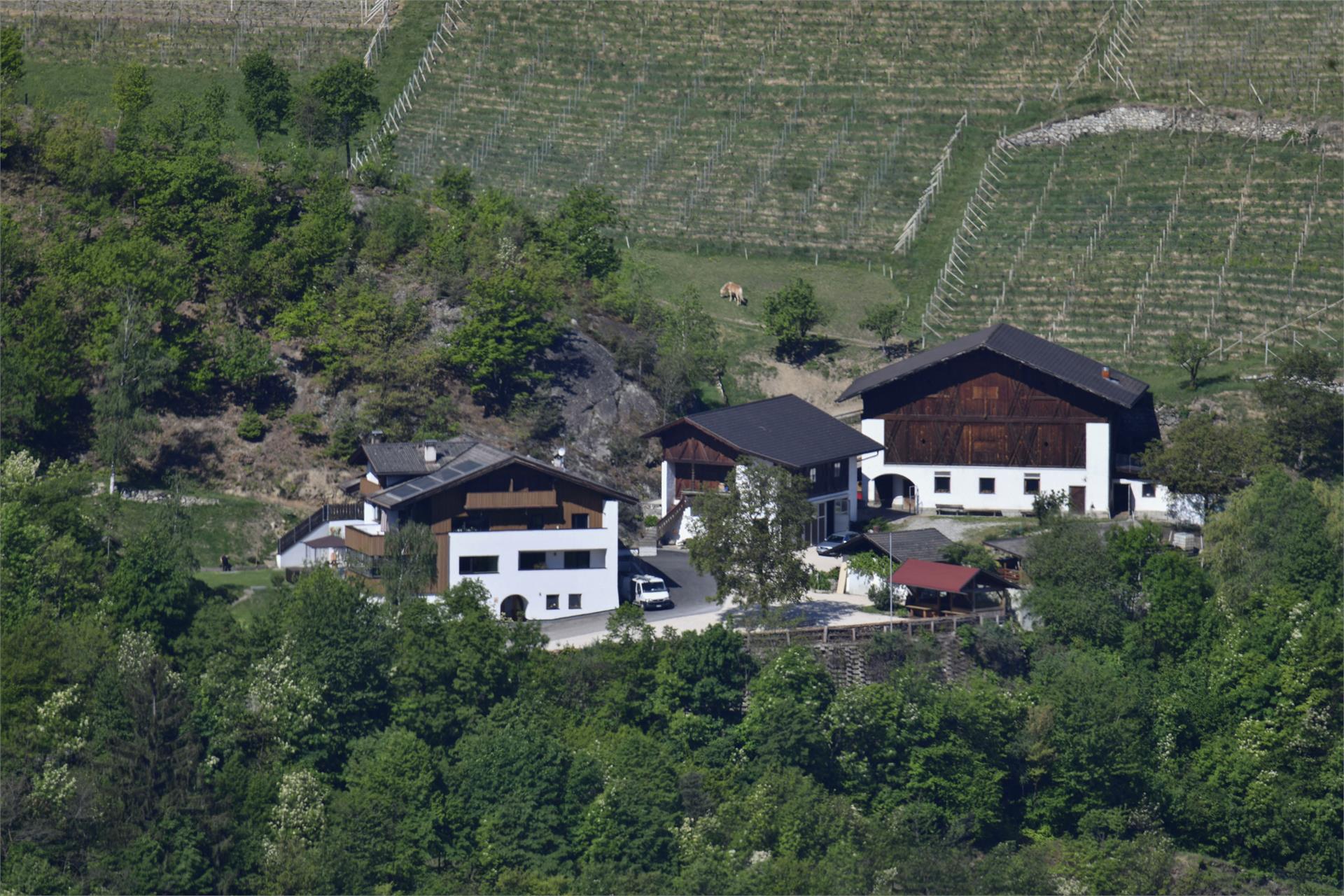 Gummererhof Brixen/Bressanone 4 suedtirol.info