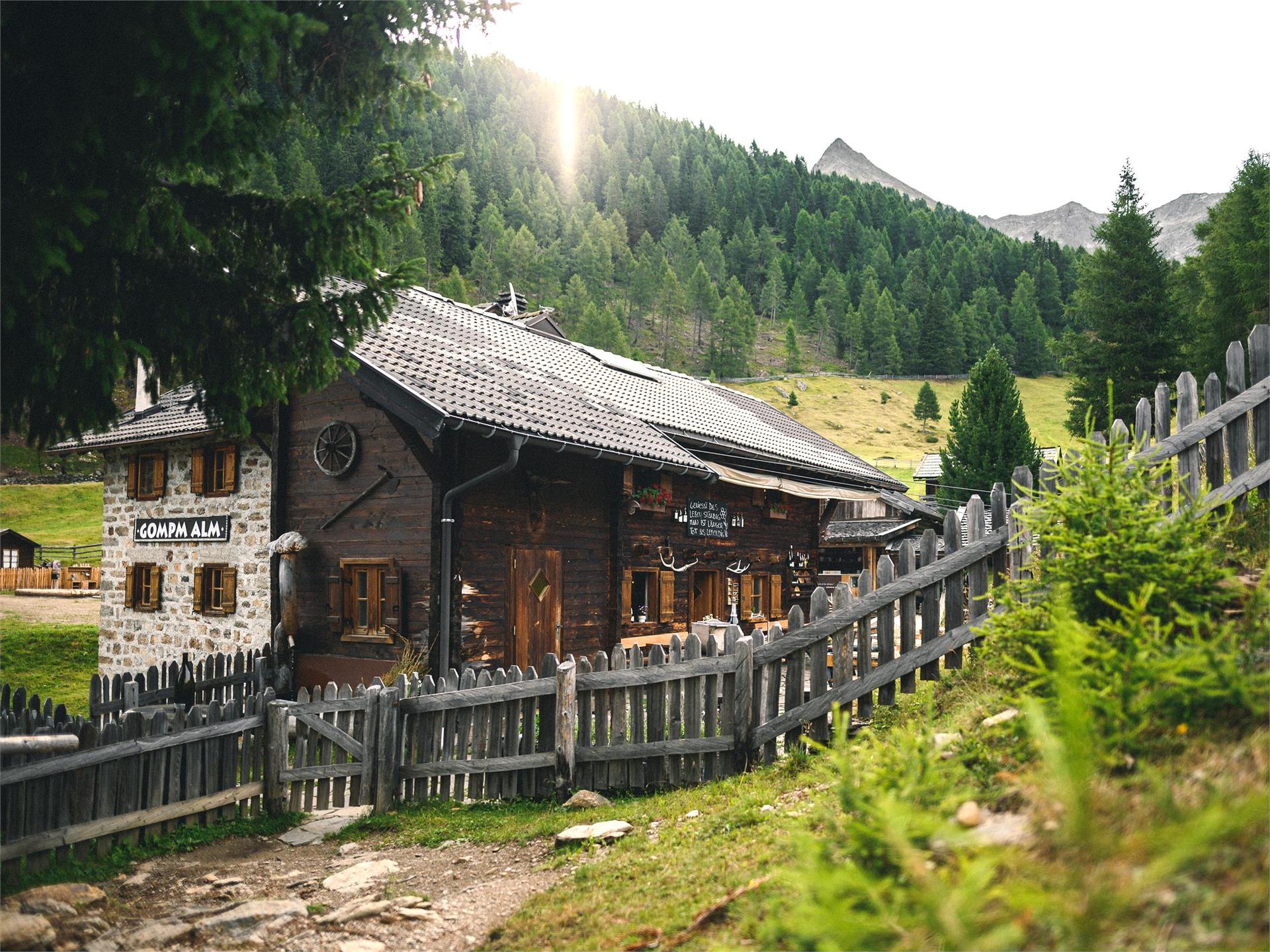 Gompm Alm - alpine pasture hut Schenna/Scena 1 suedtirol.info