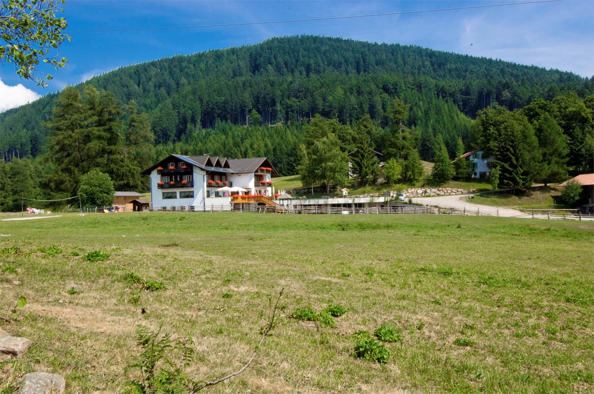 Gasthof Schneiderwiesen Deutschnofen/Nova Ponente 3 suedtirol.info