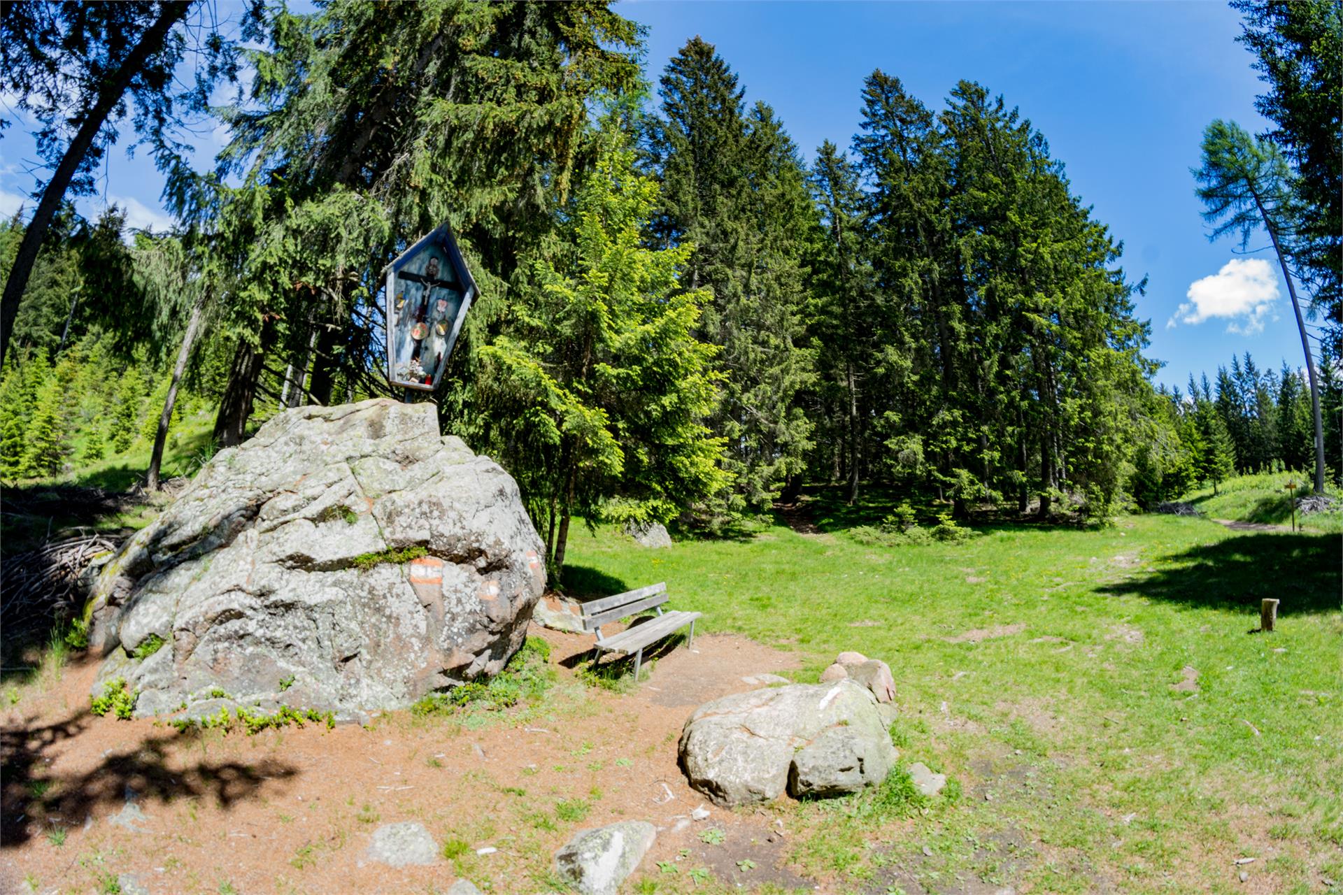 Gasthof Schneiderwiesen Deutschnofen/Nova Ponente 16 suedtirol.info