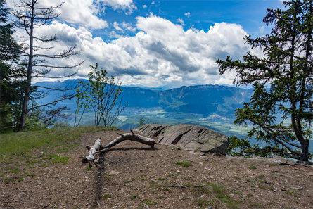 Gasthof Schneiderwiesen Deutschnofen 13 suedtirol.info