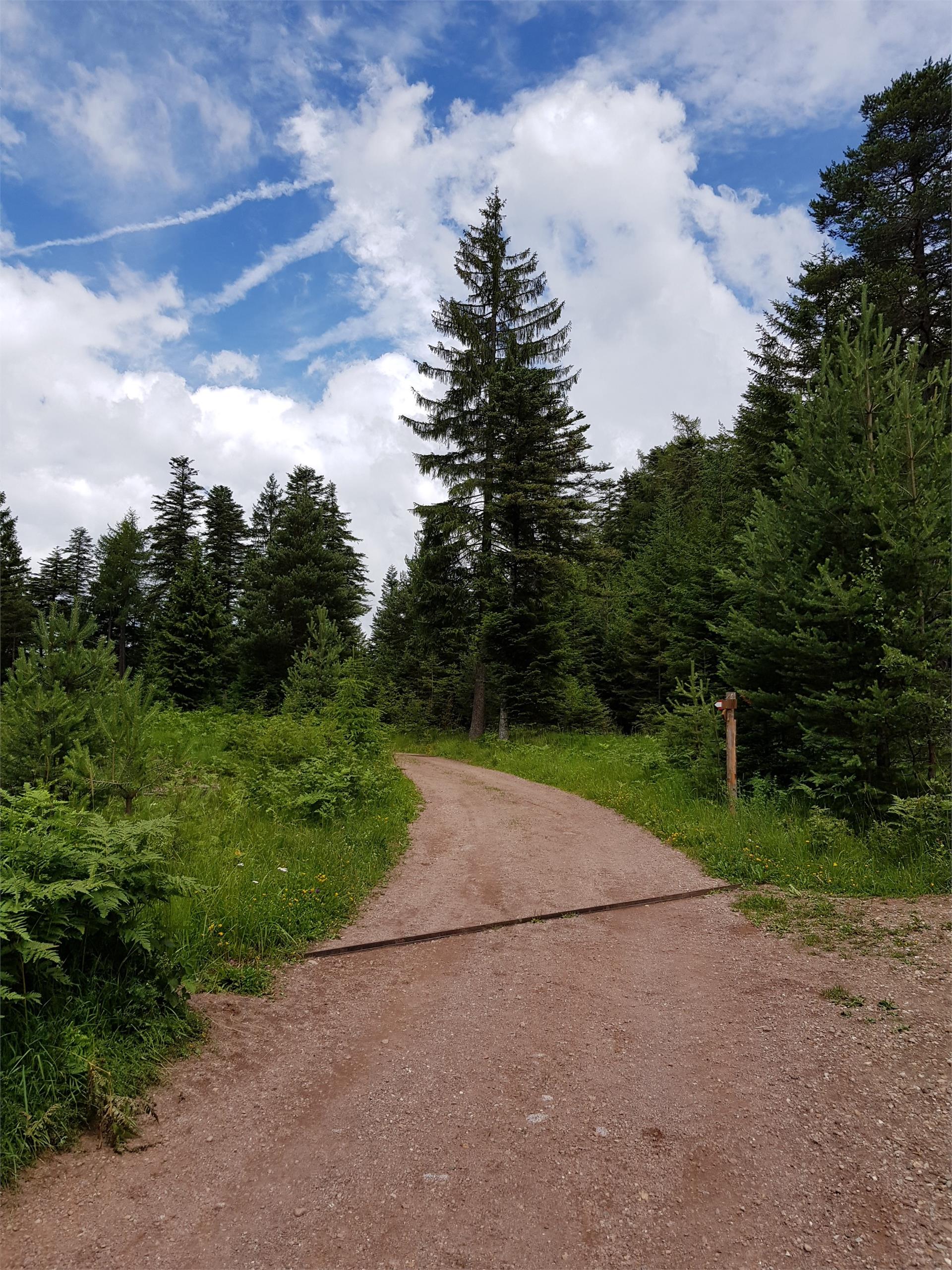 Gasthof Tschaufen Mölten 4 suedtirol.info