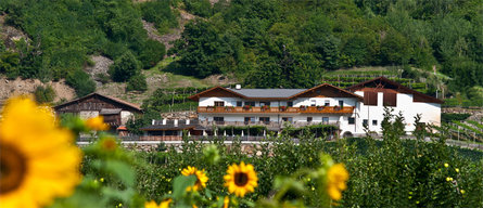 Happichl Guesthouse Partschins/Parcines 2 suedtirol.info