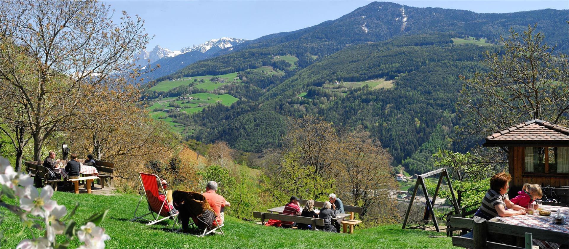 Gasthaus Huber Klausen/Chiusa 3 suedtirol.info