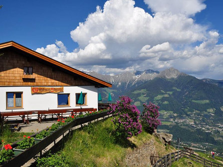 Gasthaus Steinegg Tirol/Tirolo 1 suedtirol.info