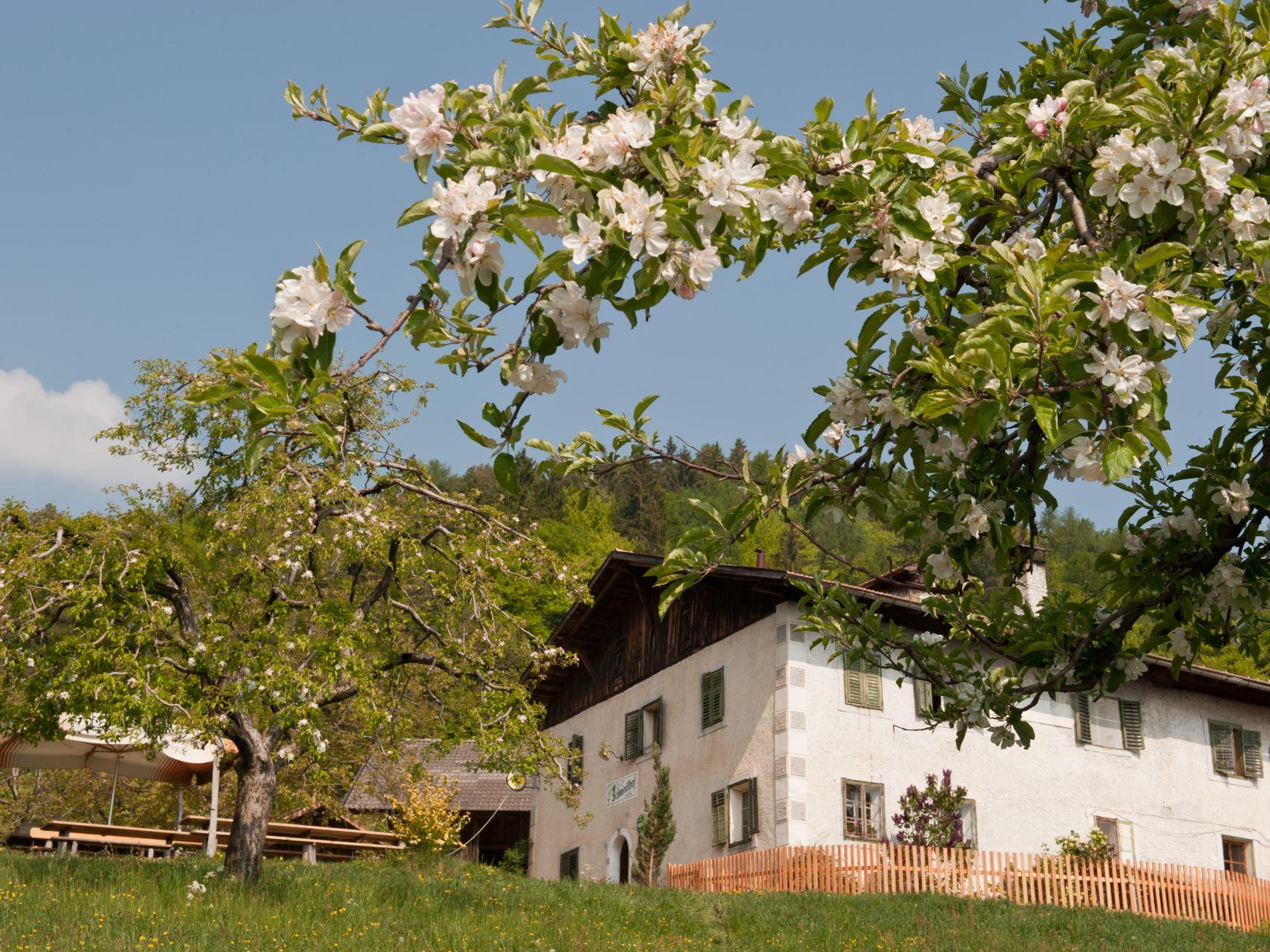 Gasthaus Schmiedlhof Tisens/Tesimo 1 suedtirol.info