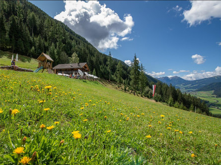 Malga Hofstatt Rasun Anterselva 1 suedtirol.info