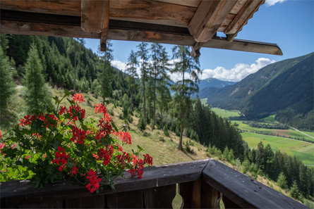 Malga Hofstatt Rasun Anterselva 12 suedtirol.info