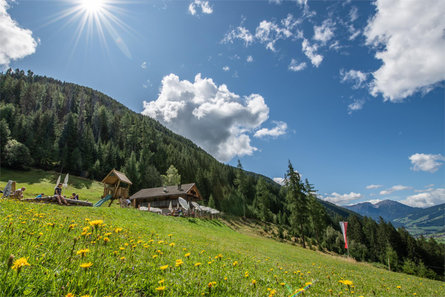 Malga Hofstatt Rasun Anterselva 5 suedtirol.info