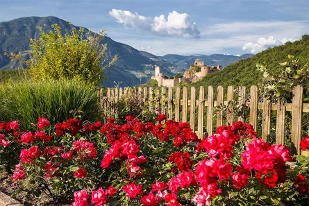 Hotel-Café Sigmundskron Appiano sulla Strada del Vino 10 suedtirol.info