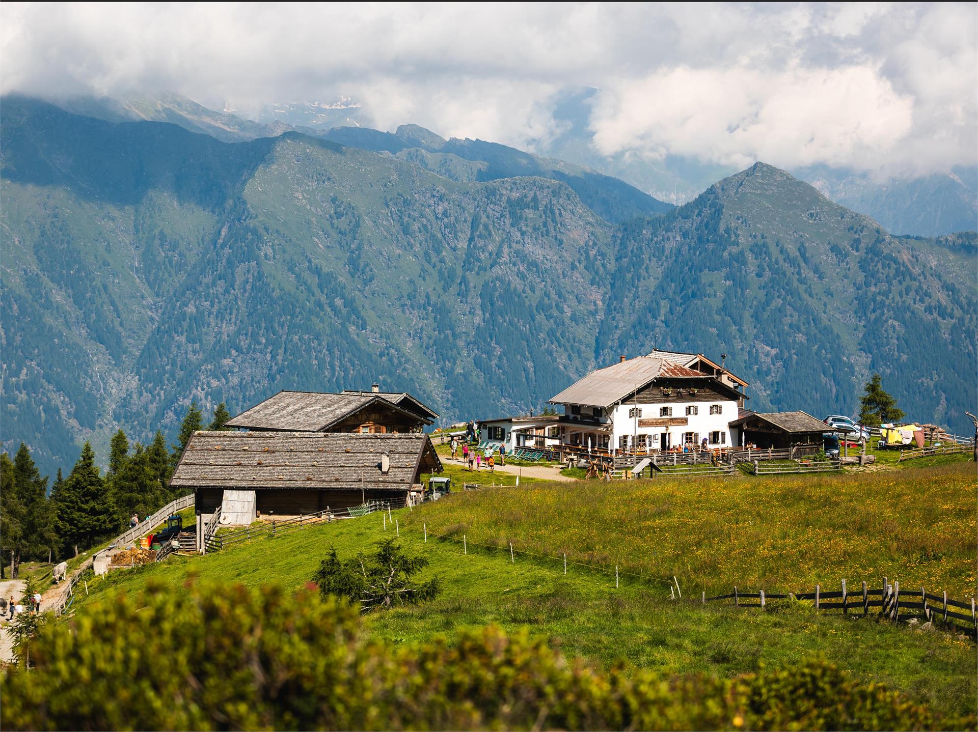 Hirzerhütte - mountain hut Schenna/Scena 1 suedtirol.info