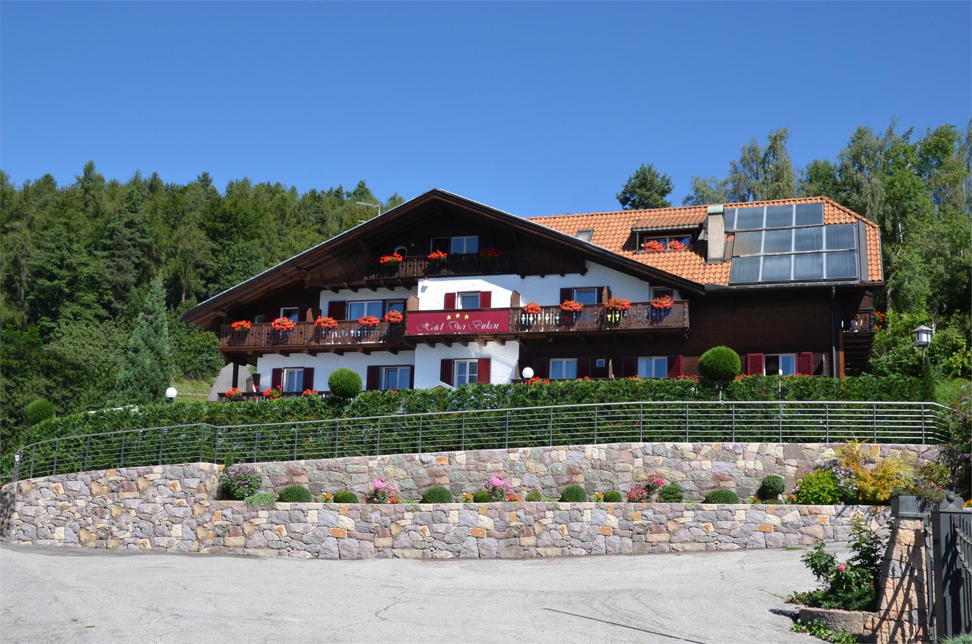 Hotel Drei Birken Ritten/Renon 1 suedtirol.info