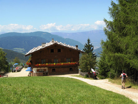 Malga Hofer Alpl Tiers am Rosengarten/Tires al Catinaccio 3 suedtirol.info