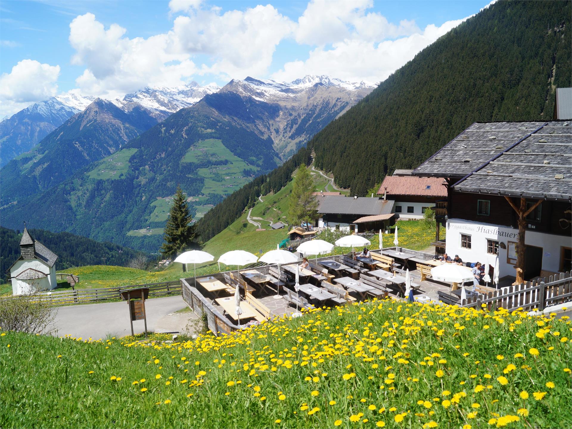 Hiaslbauer - Berggasthaus Schenna 1 suedtirol.info