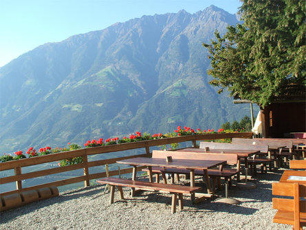 Hofschank Brandhof Naturns/Naturno 2 suedtirol.info