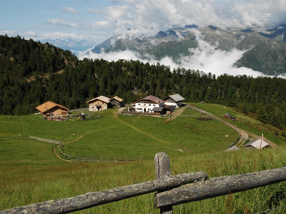 Hirzerhütte Tallner Alm Schenna 1 suedtirol.info