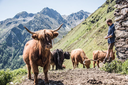 Osteria Arche Stube Hochzirm Campo Tures 6 suedtirol.info