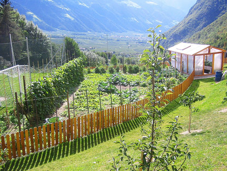 Hofschank Winklerhof Partschins 7 suedtirol.info