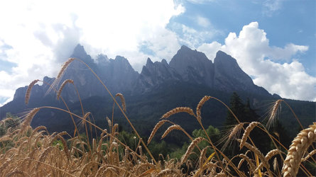 Hofschank zur Malenger Mühle Kastelruth 2 suedtirol.info