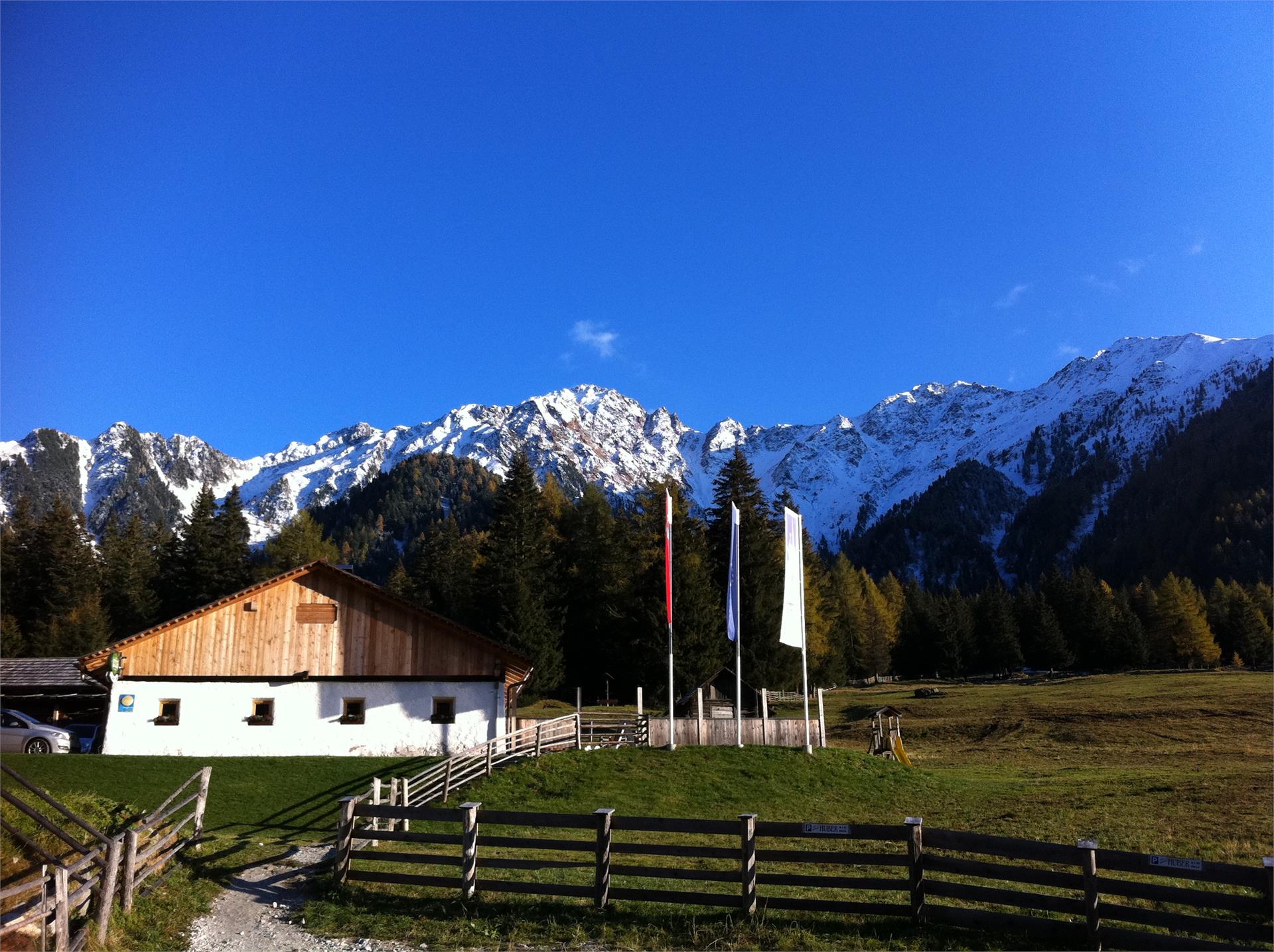 Malga Huber Rasun Anterselva 2 suedtirol.info