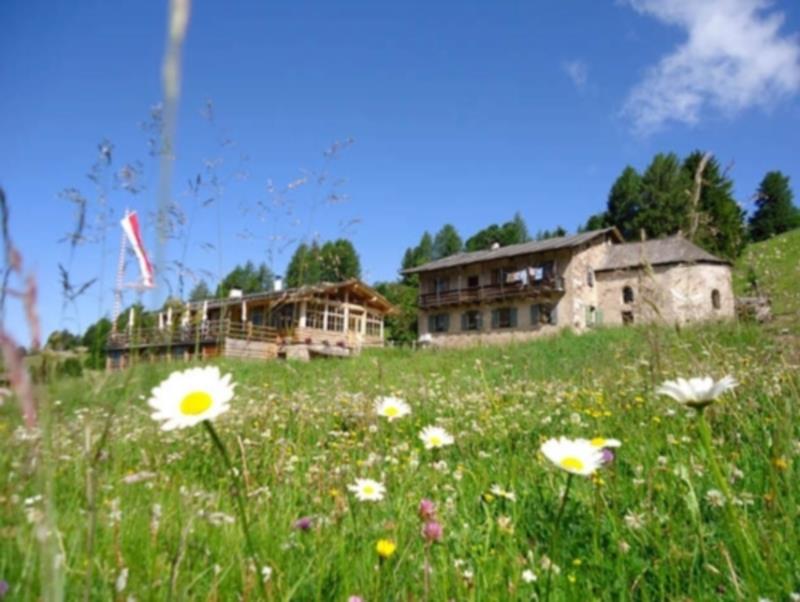 Isi hut Deutschnofen/Nova Ponente 2 suedtirol.info