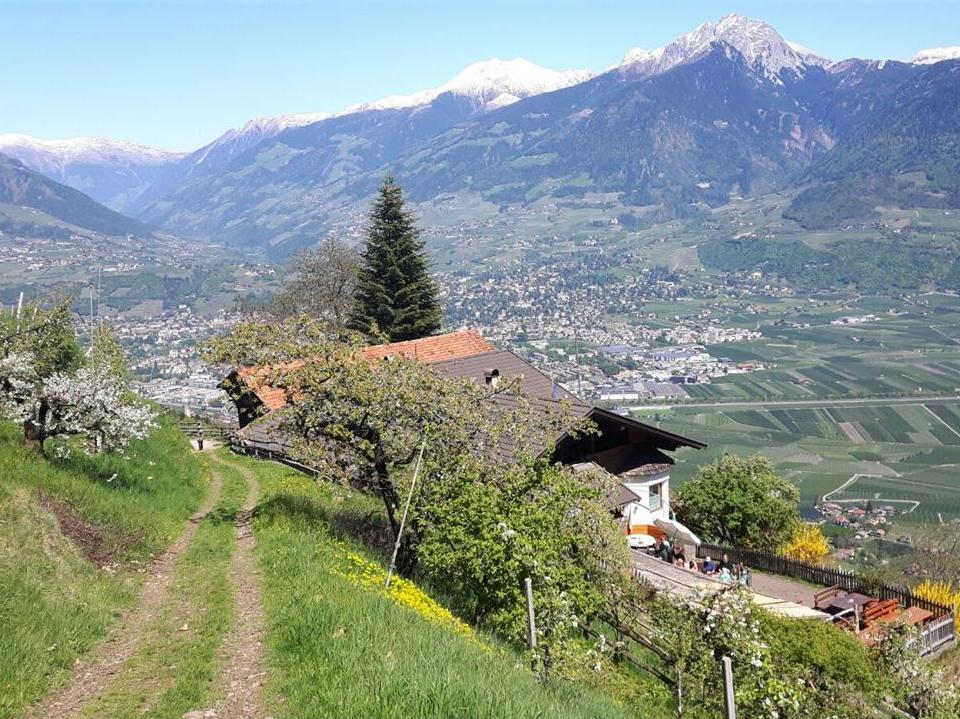 Hoferhof Tscherms/Cermes 1 suedtirol.info